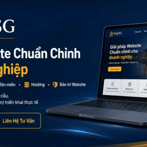 Tên Miền, Hosting, SSL Và Email Doanh Nghiệp: Website Cần Gì?