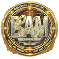 Logo BamSG Web
